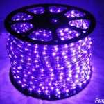 Purple LED (WLD)