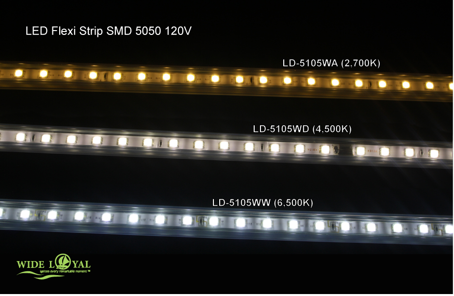 120V LED Strip Lights, 164ft Roll