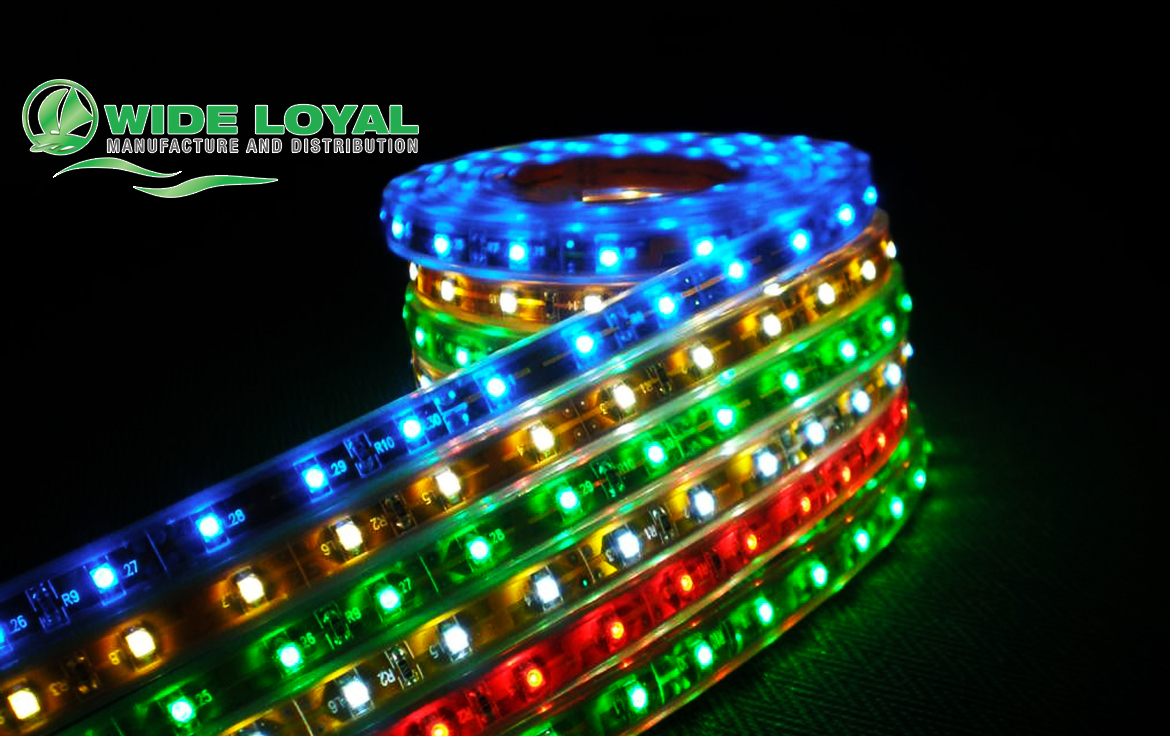 Loyal LED